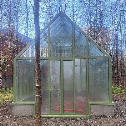 АСТЕРА Макси