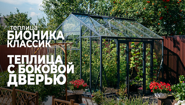 Теплица БИОНИКА с боковой дверью